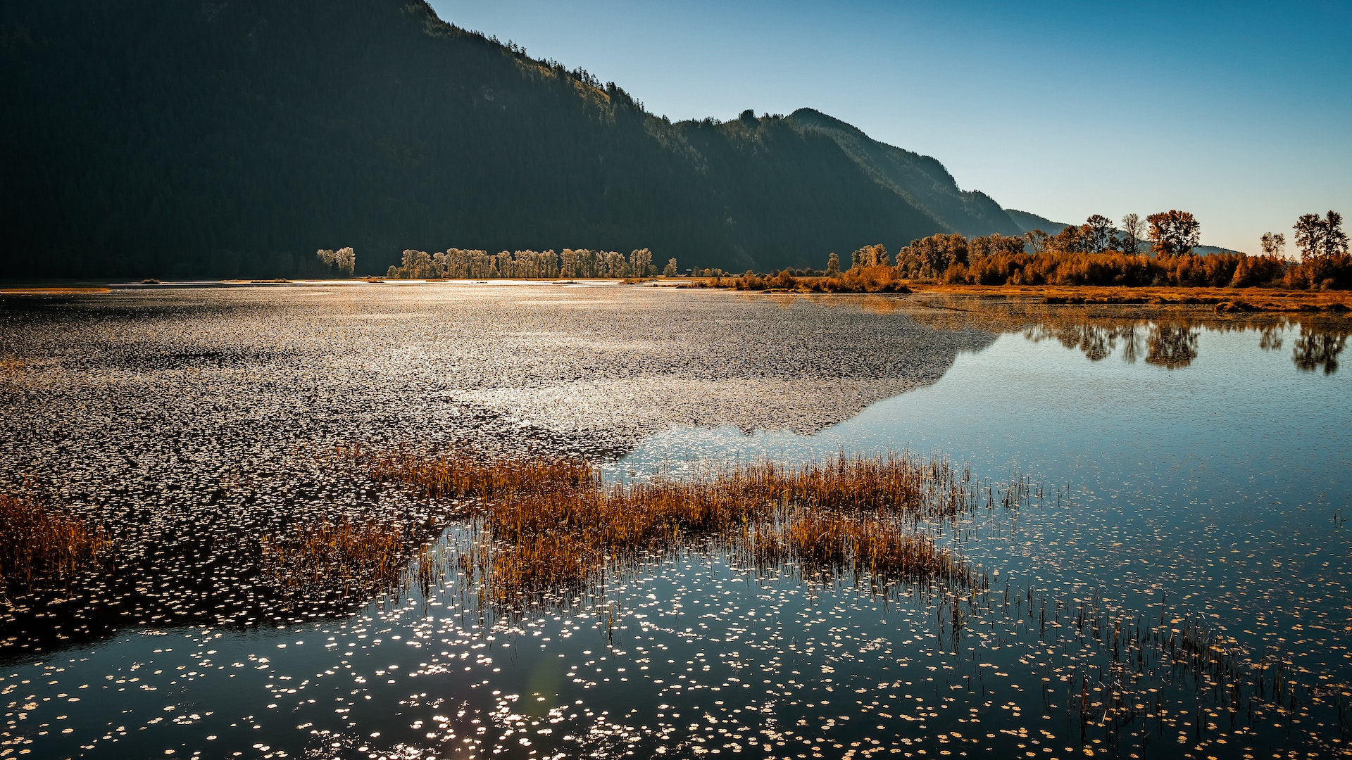British Columbia Lake in Autumn