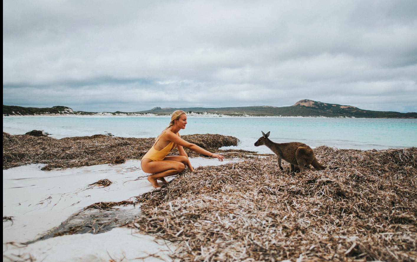 woman with kangaroo on beach